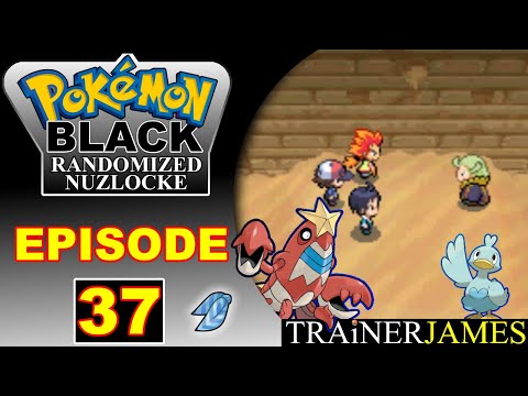 Confronting Ghetsis in Relic Castle | Pokémon Black Randomized Nuzlocke | Ep. 37