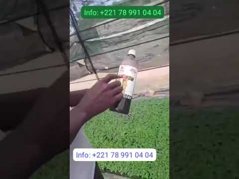 Vignette du témoignage vidéo d'un utilisateur uTerra au Sénégal