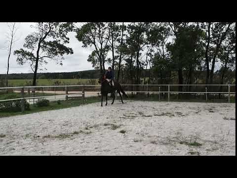 Yvonne and Carlotta - spanish walk