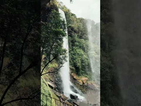 Doutor Pedrinho - SC