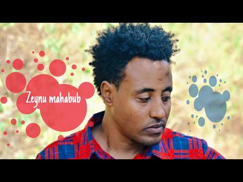 Zeynu Mahbub - jimmaa | New Ethiopian Oromo music 2021 (official audio)