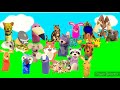 Baby Einstein And Pokemon 25th Celebration Birthday Puppets Characters Do Wop Hop