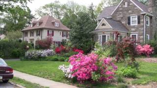 preview picture of video 'Main Line Real Estate | Homes in Ardmore PA | Westfield and Overhill'