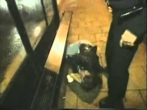 in bed with medinner (s3 ep17)