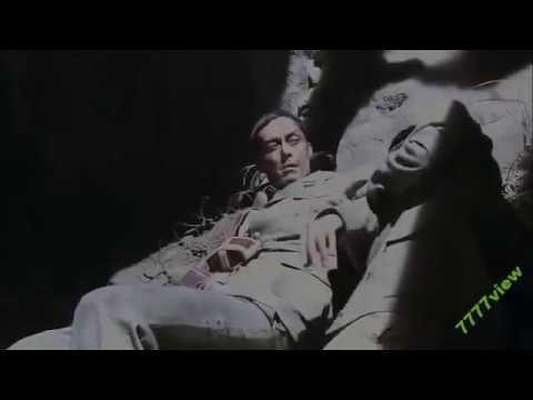 テトラキス(ジメチルアミノ)エチレンの合成 1.png