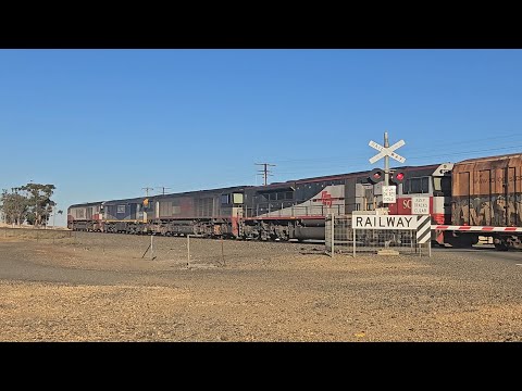 6AM9 (2) SCT up "Dark Ghost" (4 locos, 84P), Penfield to Laverton, 1920, 6/2/26, Dooen VIC 