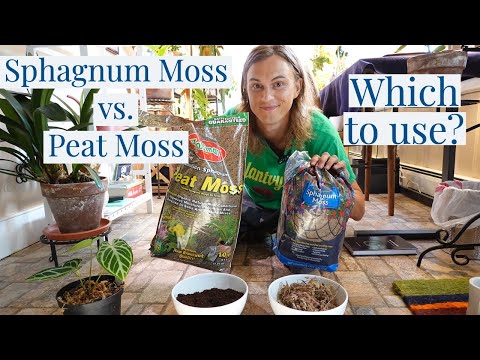 , title : 'SPHAGNUM MOSS vs PEAT MOSS? Grow Your Rare Houseplants Correctly!'