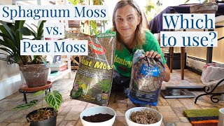 SPHAGNUM MOSS vs PEAT MOSS Grow Your Rare Houseplants Correctly!