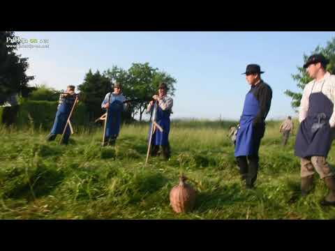 Košnja trave na star način pri Mali Nedelji