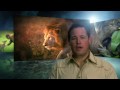 Spot Animal Planet ROAR