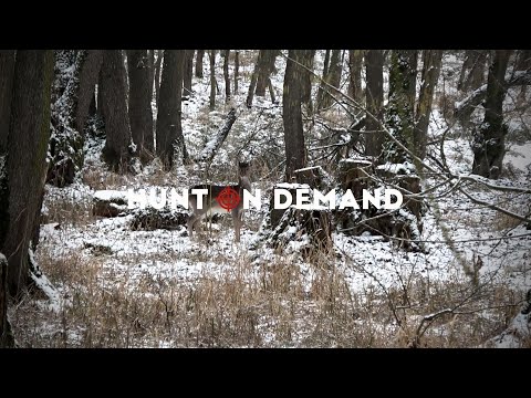 Drückjagd im Himmelreich bei den Hunter Brothers – Hunterfieber Hunt on Demand Trailer