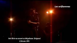 1991- Noir Désir au Mégafaune d&#39;Avignon  - Les oriflammes