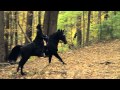 Austra - Spellwork 