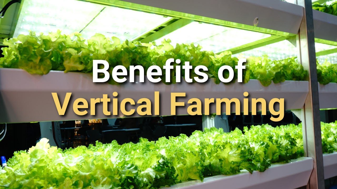 Verde Compacto's Huvster Pro Revolutionizes Local Food Production