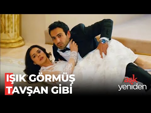 Zeynep ve Fatih'ten Gelin Damat Sürprizi - Aşk Yeniden