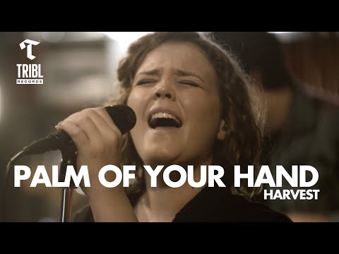 Thumbnail for Palm of Your Hand video