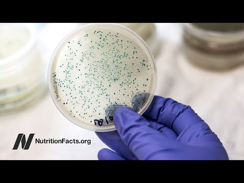 Fecal Transplants for Aging and Weight Loss