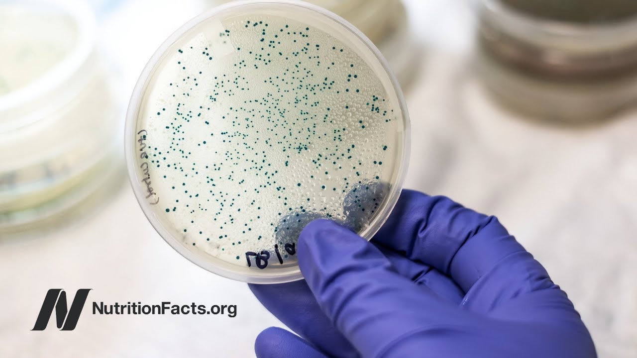 Antibiotic Resistance Genes in the Guts of Vegetarians vs. Meat Eaters