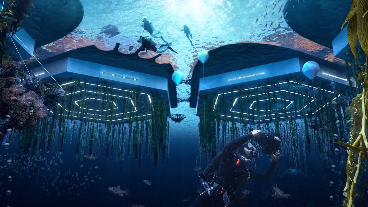 youtube video id=Jupldxz9-BI