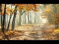10 HOURS Morning Mood Edvard Grieg