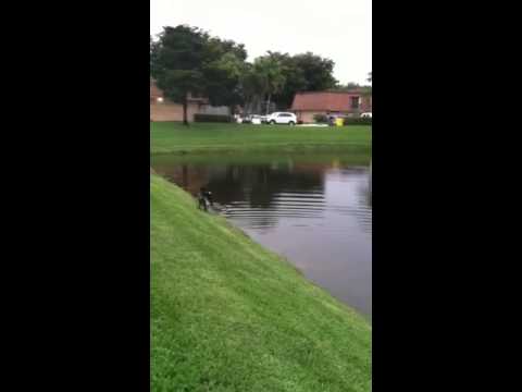 Murphy's lake adventure.