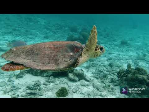 The sound of the sea to calm the nerves👍👍