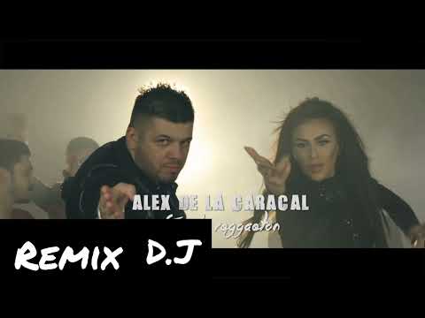 Alex de la Caracal - Ton de reggaeton (Remix)
