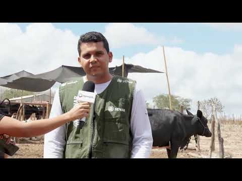 SERGIPE RURAL - PROGRAM 31 - 2nd season