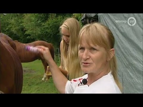 GLD Nieuws 10 augustus 2013 - Nieuws