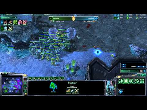 Blizzcon 2011 - Naniwa V NesTea Game 1 - Starcraft 2