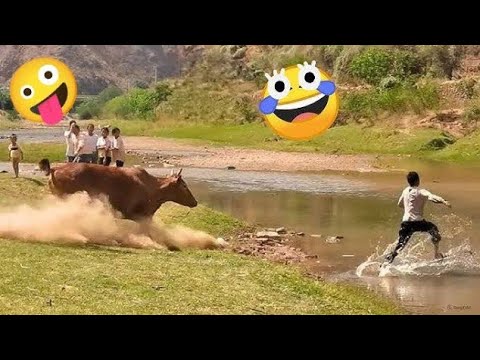 Funniest Fails Compilation | Episode - 253 | ClipBoy