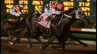 Los Alamitos Full Card Stream and Replays  - Saturday, August 22