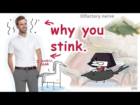 the benefits of being a stinky little guy