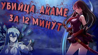 Убийца акаме за 12 минут/Akame Ga Kill
