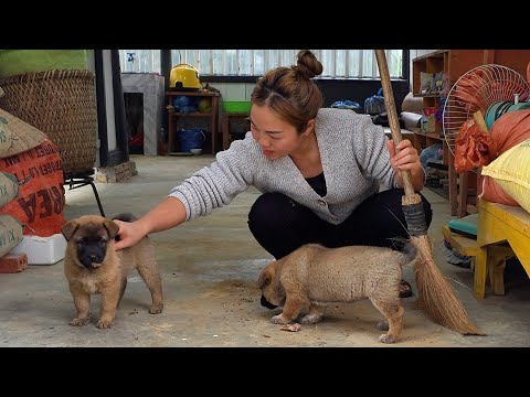 A Peaceful Day in My Quiet Country Life | Simple Living Alone