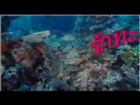 สาเหตุของโรคสะเก็ดเงิน vulgaris Emolium ครีมพิเศษสำหรับกลาก