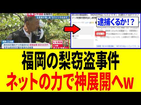 【緊急】福岡の梨窃盗事件、ネットの力でとんでもない展開になる！！！