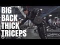BIG BACK THICK TRICEPS
