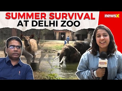 Delhi: National Zoological Park Director Dr. Sanjeet Kumar Discusses Summer Care for Wildlife in Zoo