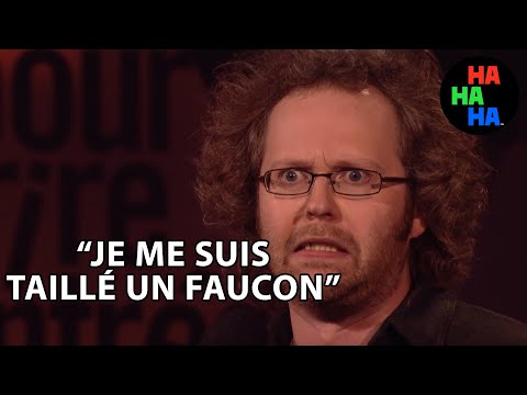Le Faucon - François Bellefeuille
