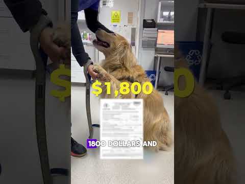 Pet Health Care Product VSL