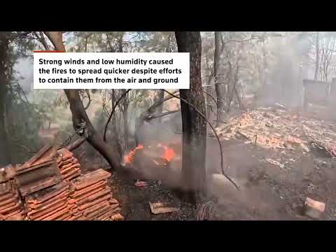 Video Thumbnail: Bodycam captures Turkish firefighter battling wildfire
