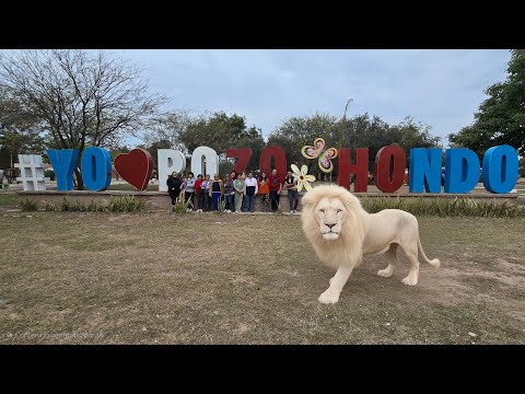 en los montes de Santiago del Estero (Pozo Hondo)