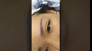 Cat Winged Eyeliner Latino Permanent Makeup Cosmetic Tattoo by El Truchan @ Perfect Definition