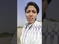 Tumhare Shiva Bollywood Love Song Hindisong Youtubeshorts Bollywoodsongs Viralvideo