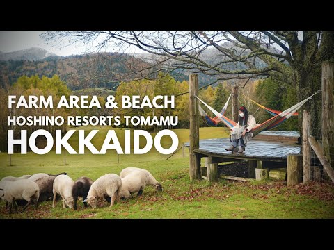 Japan Travel Guide｜Farm area &amp; Beach｜Hoshino Resorts TOMAMU｜Hokkaido｜JNTO