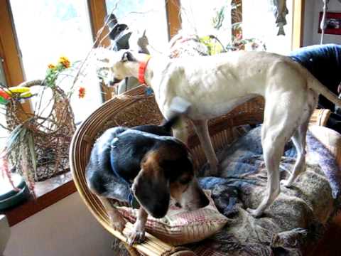 Ariadne at home, first morning