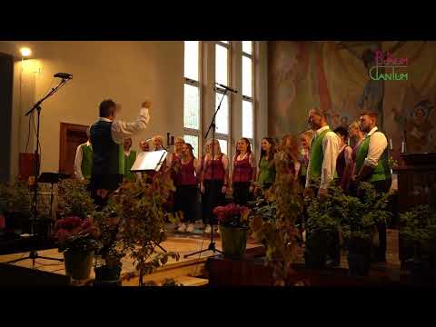 BONUM CANTUM - Denk i allweil an di