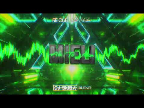 Re Cue x Malik Montana - Mieli ale to vixa (DJ SKIBA BLEND)