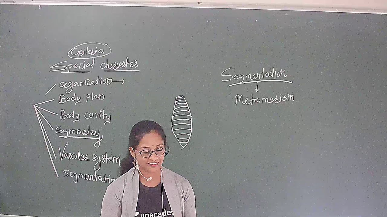 Lec 5 Class 11 Animal Kingdom - Criteria Segmentation